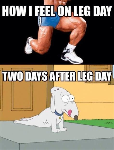 leg day meme|leg day jokes.